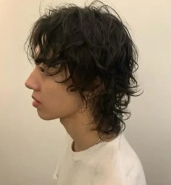 Shaggy Mullet Shaggy Mullet