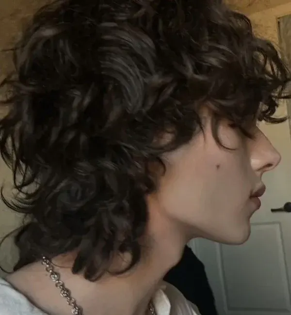 Short, Loose Curls Short, Loose Curls